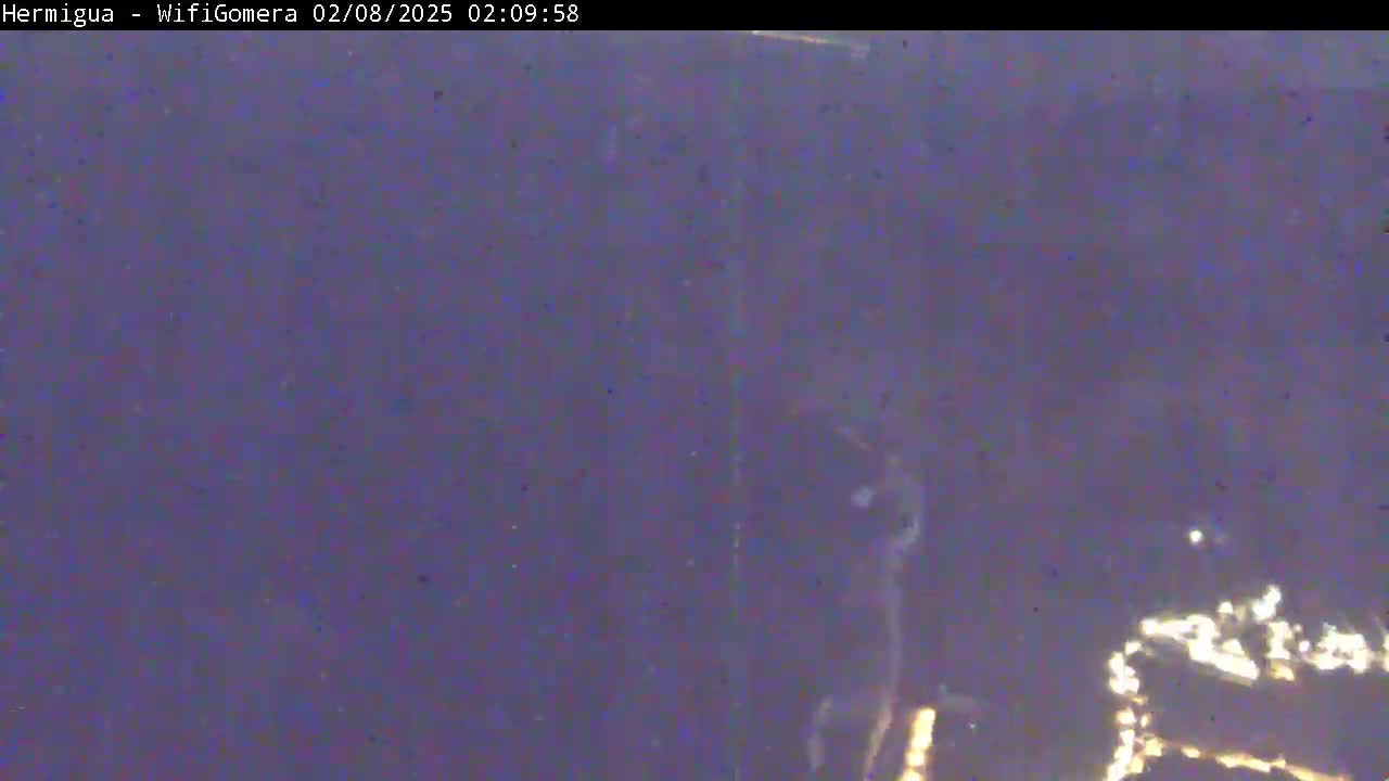 A blurry nighttime image shows a dark landscape with a few faint lights visible in the distance.