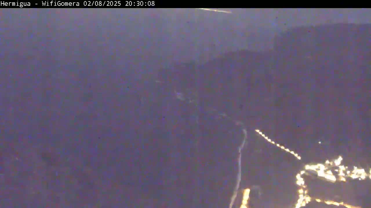 A nighttime, low-light image shows a blurry view of a road with faint lights winding through dark terrain.