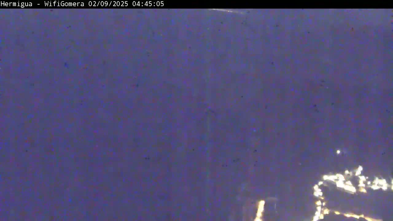 A dark, blurry nighttime image shows a few faint lights in the distance.