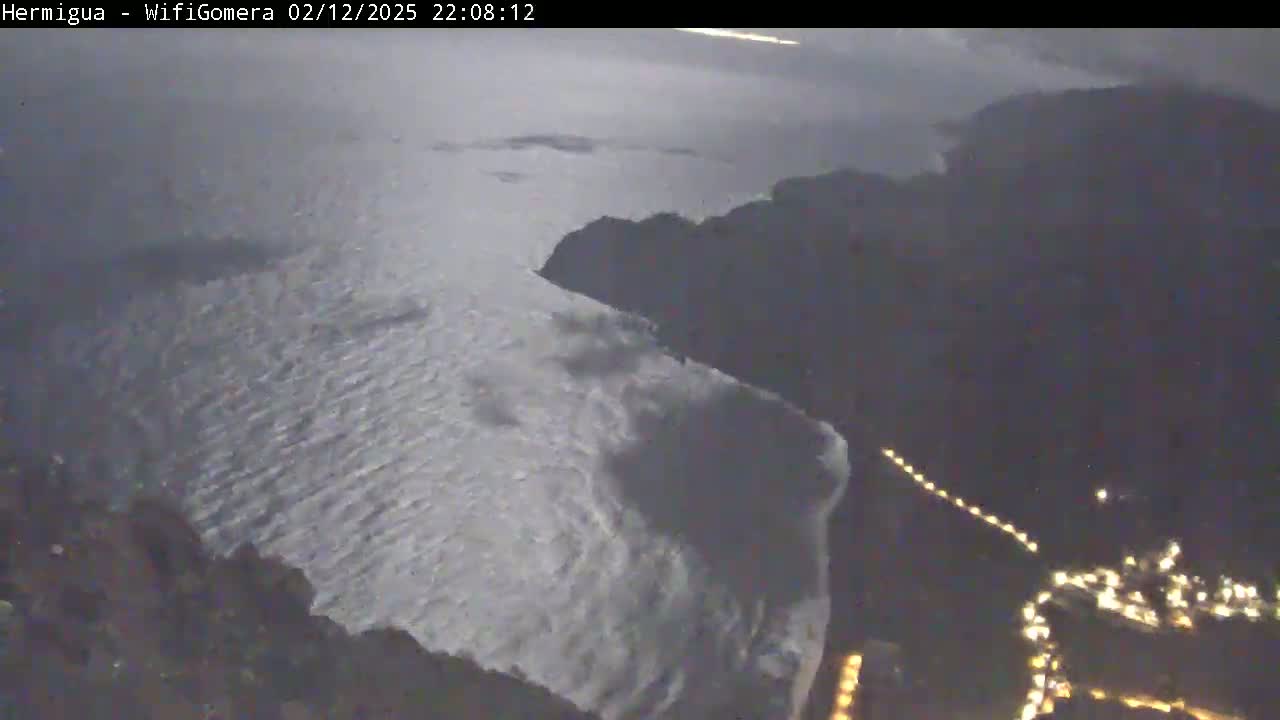 A nighttime, high-angle view shows a dark, rocky coastline meeting a body of water with small waves under a cloudy sky.