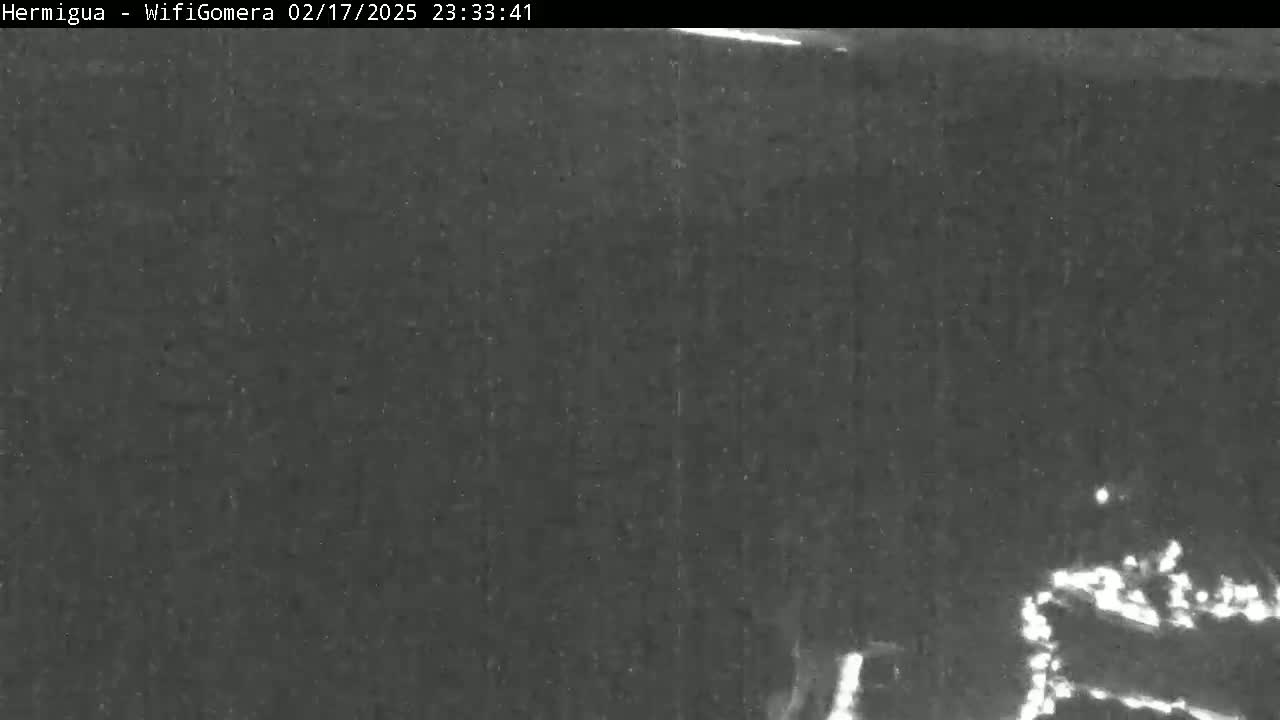 A nighttime, low-light image shows a dark, possibly wooded area with faint, indistinct lights visible in the lower right corner.