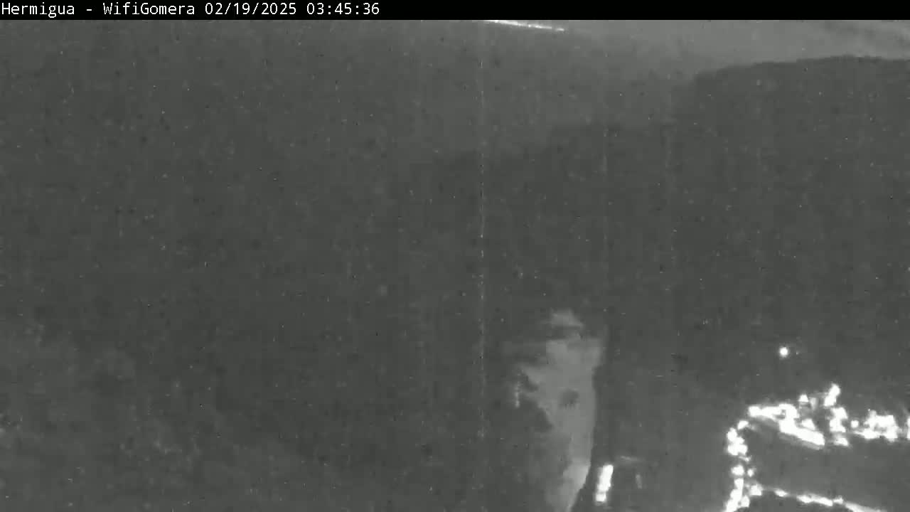 A grainy, low-light image shows a dark, possibly nighttime scene with indistinct shapes and a few bright lights in the lower right corner.
