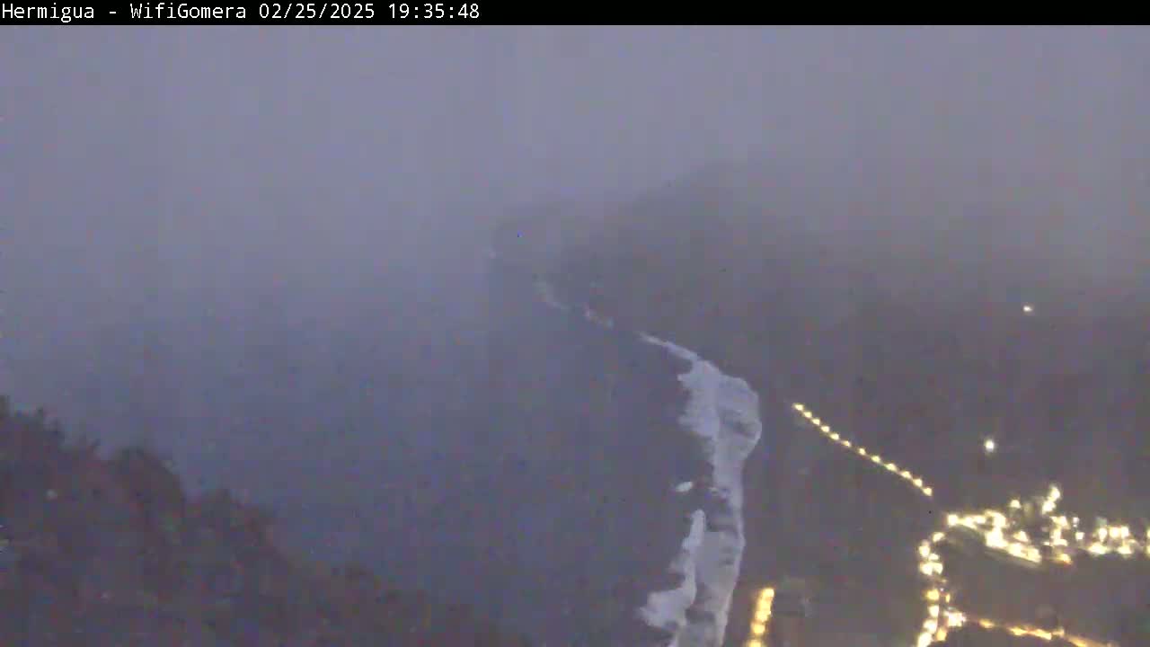 A foggy coastal scene at night shows a dark shoreline with lights and waves breaking near a dark cliff face.