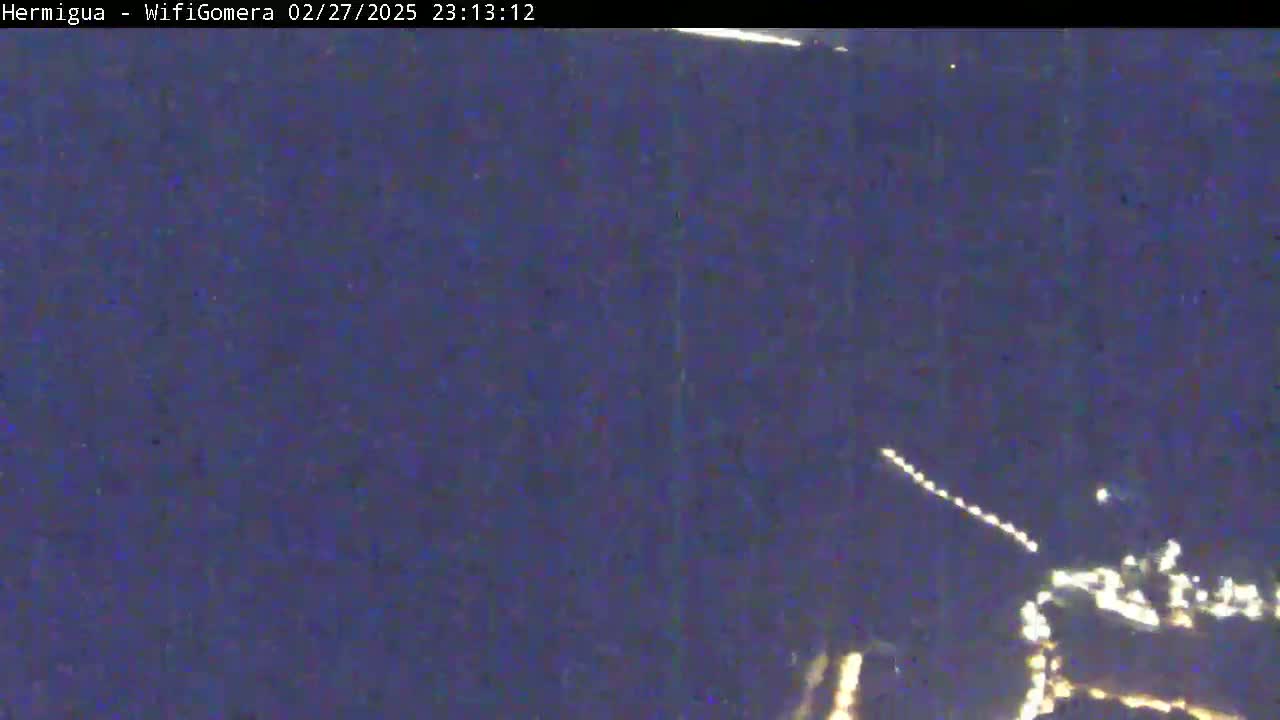A nighttime, low-light image shows a distant city with faint lights and what appears to be a long, thin streak of light in the sky.