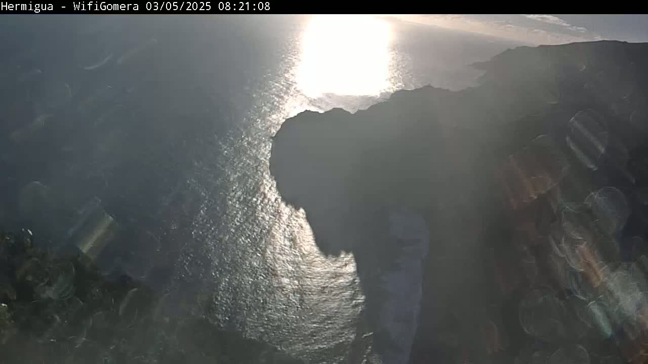 A bright sun shines over a dark, rocky coastline and a glittering ocean.