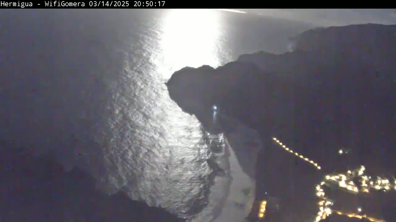 A nighttime coastal view shows dark land with lights, meeting a dark ocean reflecting bright light from above.