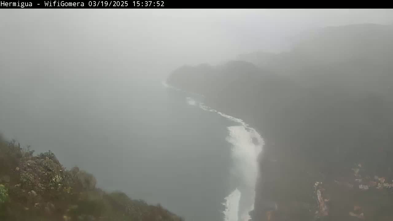 A foggy coastal scene shows a dark cliffside meeting a churning white-capped ocean, partially obscured by mist.