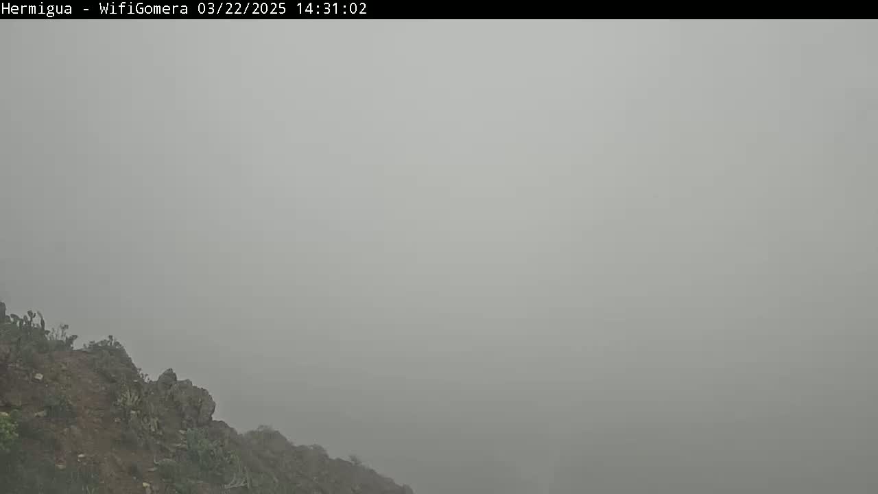 A rocky, sparsely vegetated hillside is shrouded in thick fog.