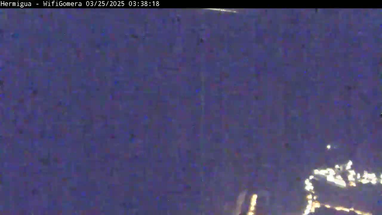 A blurry, dark-purple nighttime image shows faint, distant lights possibly from a town or city.