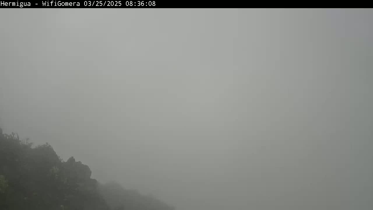 A rocky, vegetated hillside is mostly obscured by thick fog.