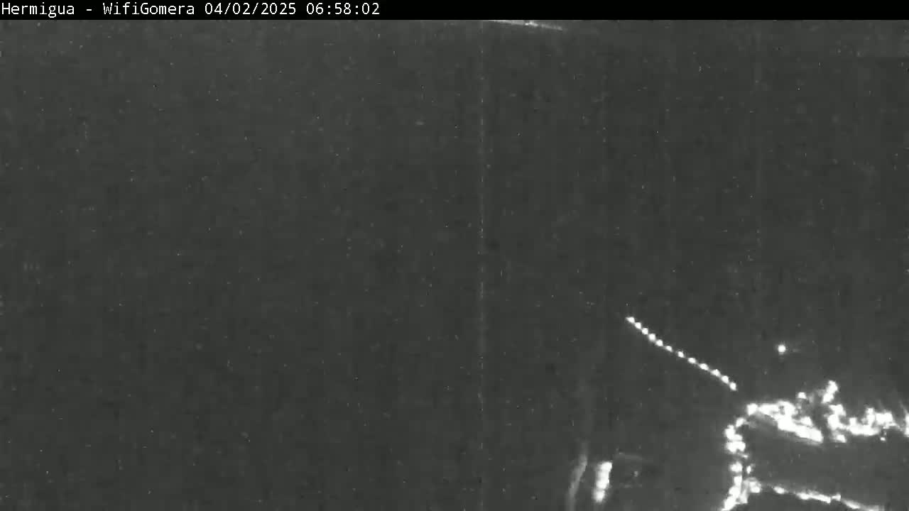 A low-light, nighttime image shows a road with lights visible in the distance, possibly under clear skies.