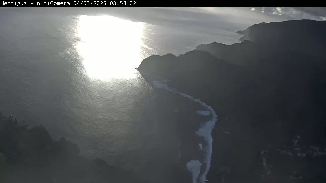 A bright, sunlit ocean meets a dark, rocky coastline under a mostly clear sky.