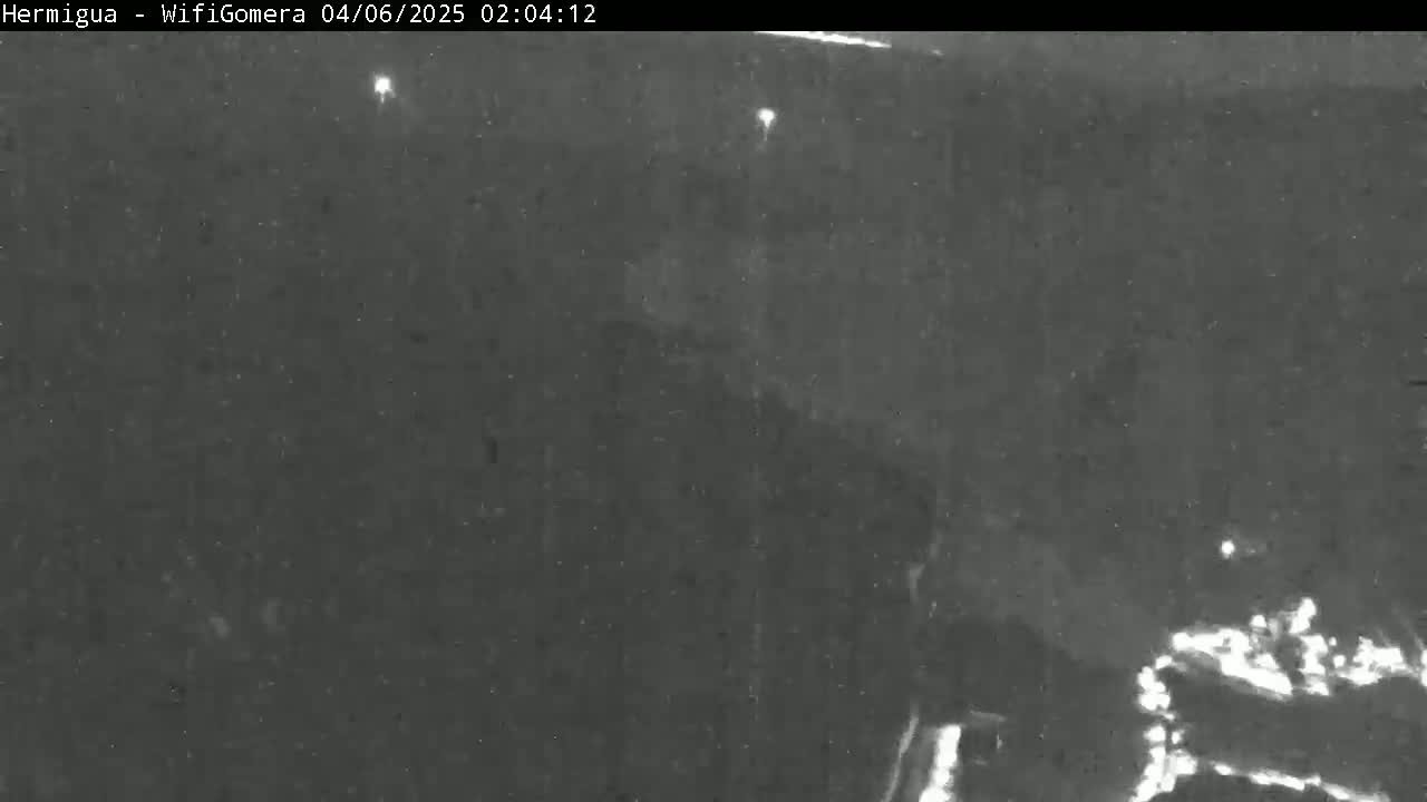 A nighttime, low-light image shows a dark, indistinct landscape with a few small, bright lights visible in the distance.