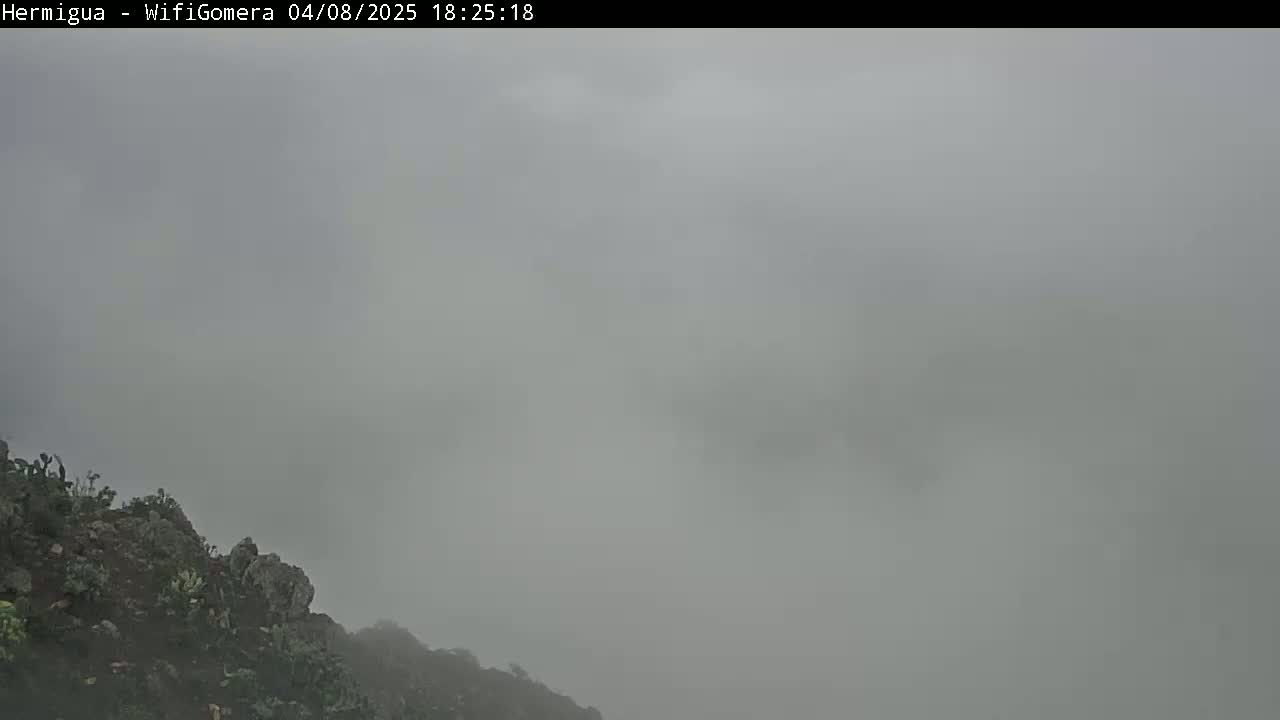 A rocky, sparsely vegetated hillside is shrouded in thick fog under a gray sky.