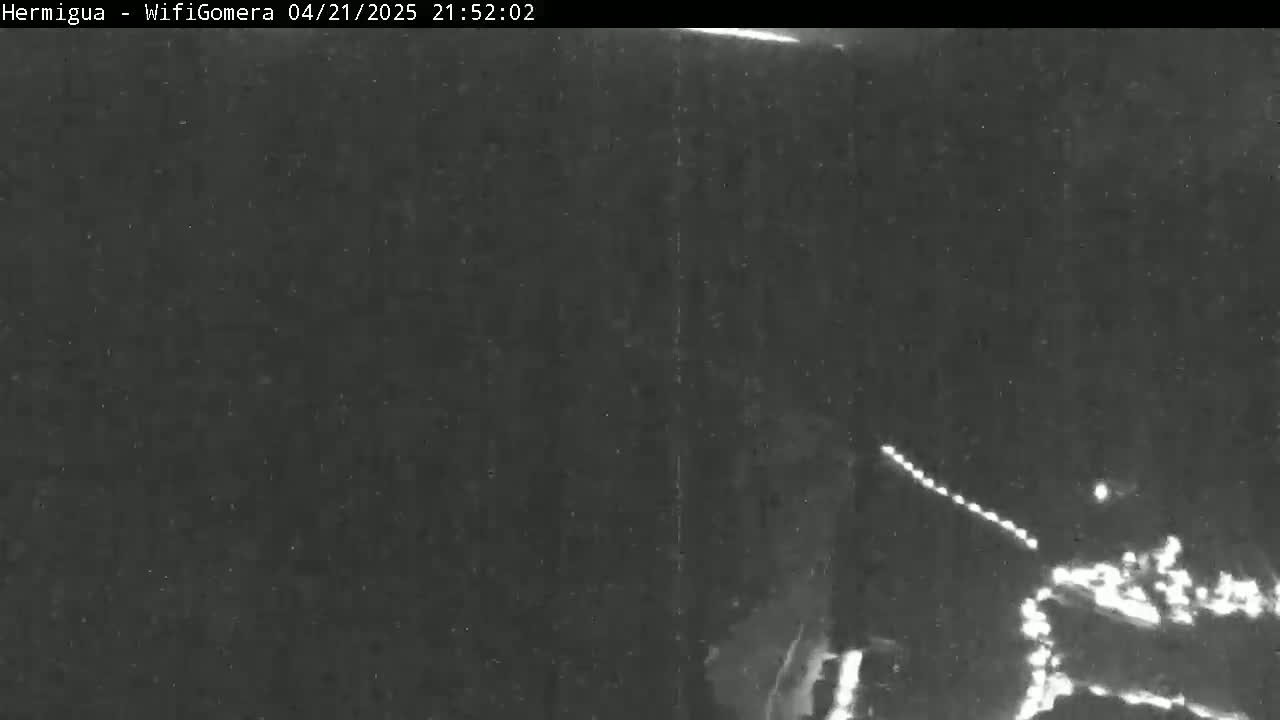 A nighttime, low-light image shows a dark, possibly wooded area with a line of lights visible in the distance.