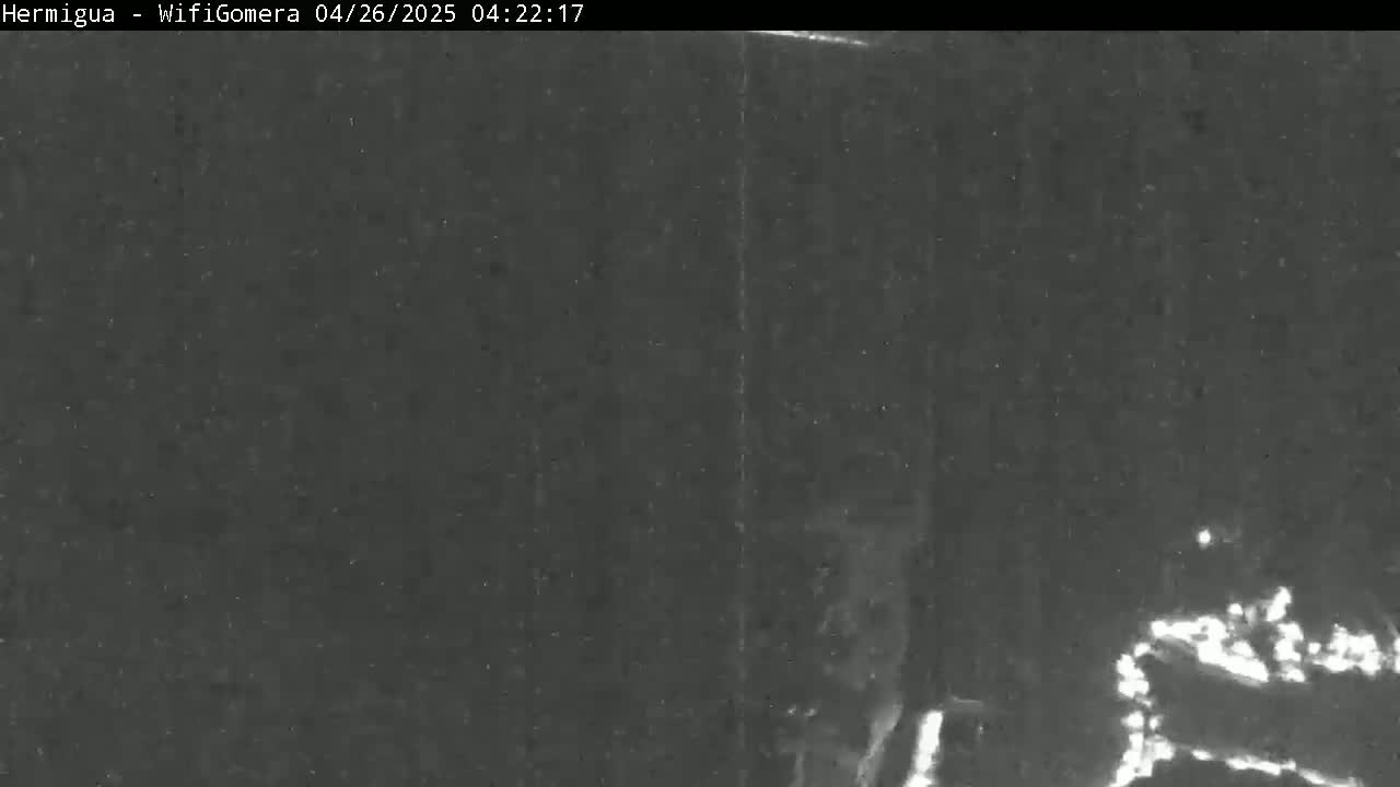 A nighttime, low-light image shows a dark, possibly wooded area with a bright light source visible in the lower right corner.