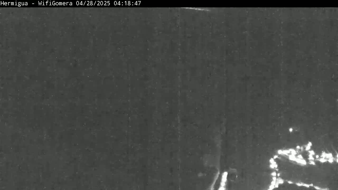 A low-light nighttime image shows a dark, possibly wooded area with faint bright lights visible in the lower-right corner.