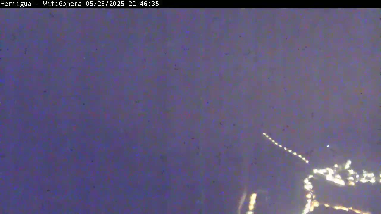 A nighttime, low-light image shows a blurry view of distant lights possibly from a town or city.