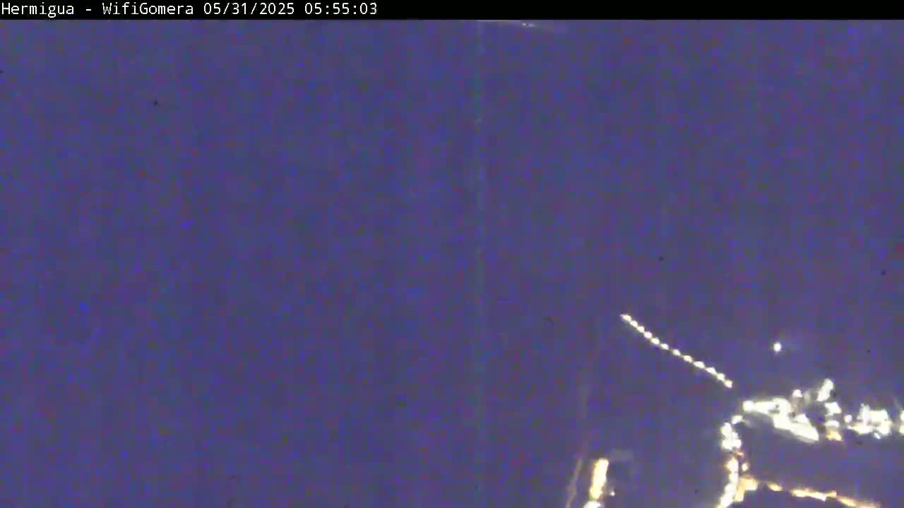A nighttime, low-light image shows a blurry view of lights on the horizon, possibly a town or city, with a streak of light in the upper right, possibly a plane or satellite.