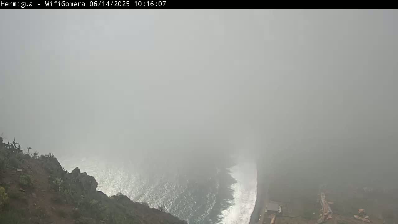 A foggy coastal scene shows a rocky cliff overlooking a gray ocean with waves crashing against the shore.
