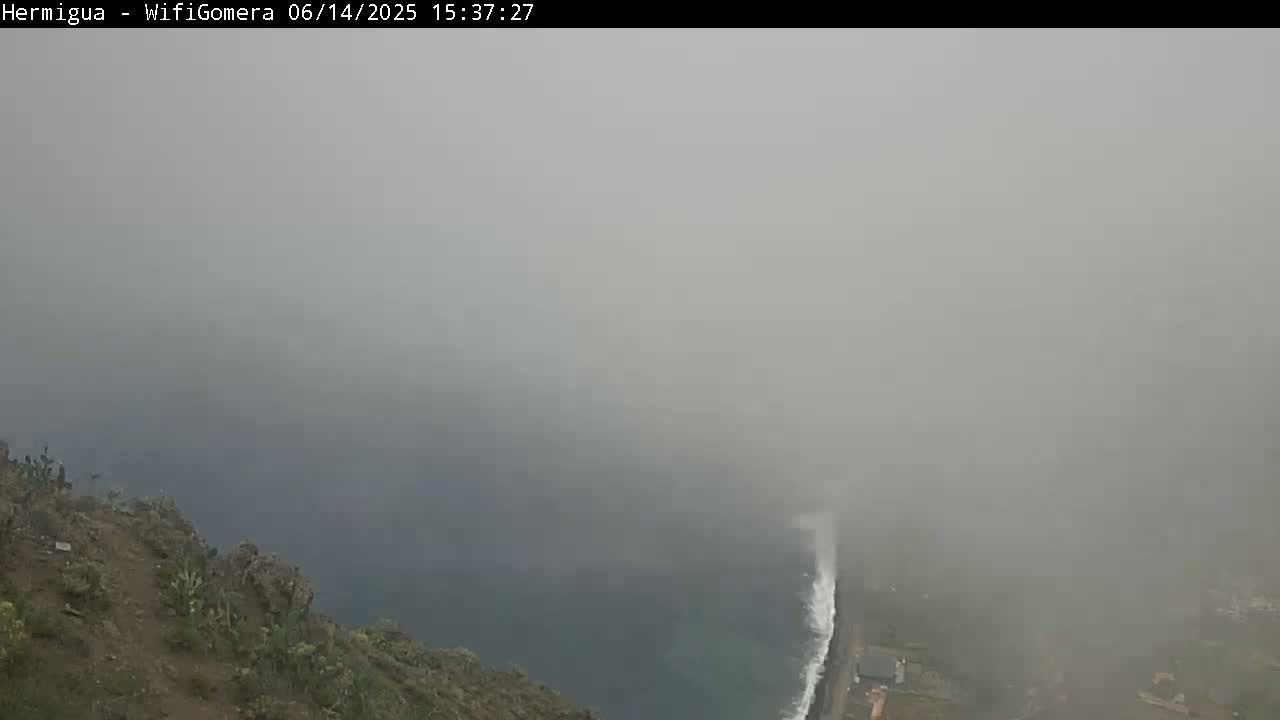A foggy coastal scene shows dark ocean waves crashing against a shoreline, viewed from a high vantage point overlooking a rocky, sparsely vegetated cliff.