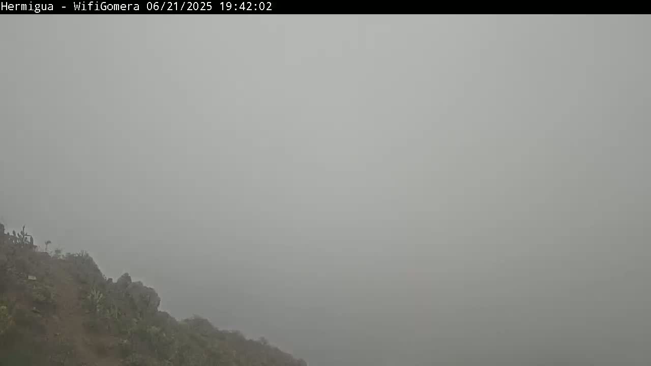 A rocky, sparsely vegetated hillside is shrouded in thick fog.