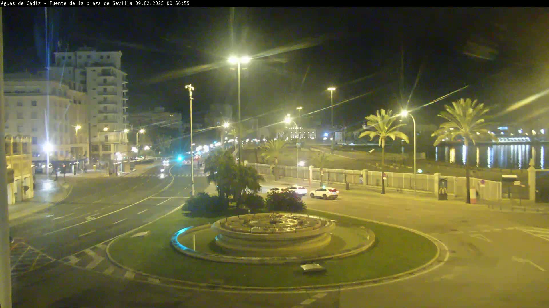 A nighttime, city street scene showing a traffic circle with a fountain in the center, several cars, and palm trees near a body of water under clear skies.