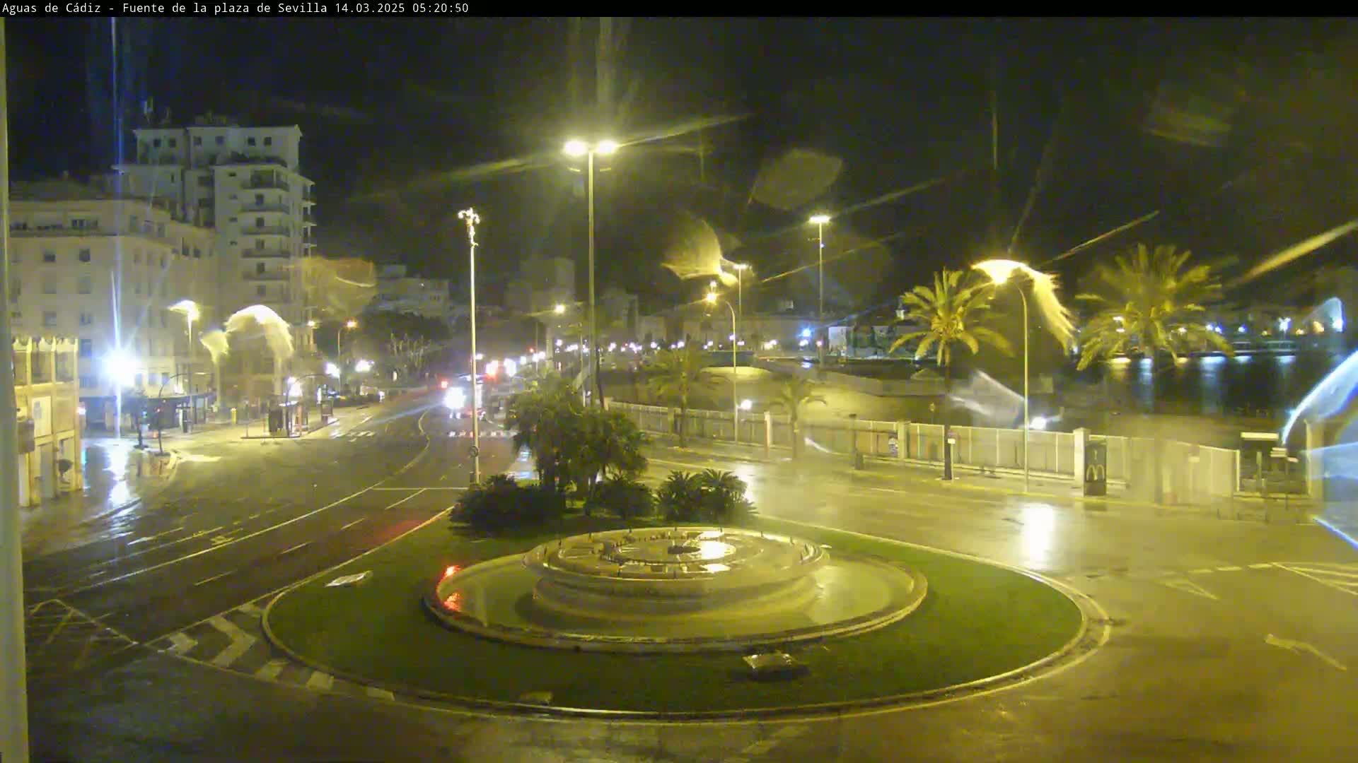 A nighttime view of a city roundabout with a fountain in the center, surrounded by palm trees and buildings, under rainy conditions.
