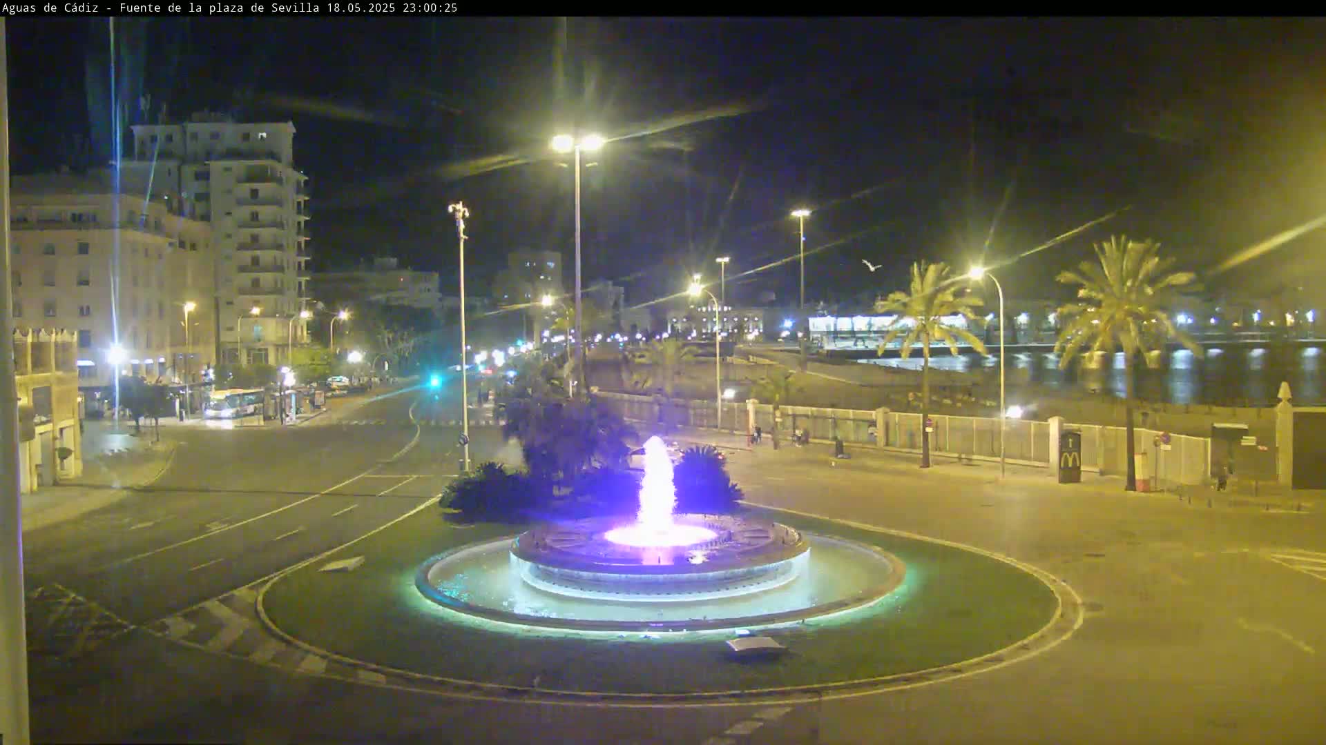 A nighttime view of a city square featuring a lit fountain in the center, surrounded by palm trees, buildings, and a roadway leading to a waterfront.