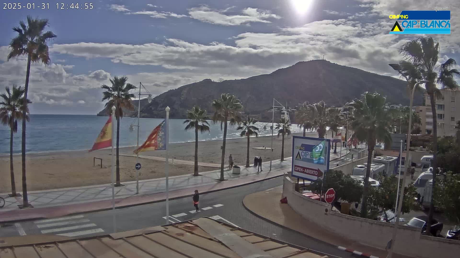 A mostly sunny day shows a sandy beach, calm ocean water, palm trees lining a paved walkway next to the beach, and a large hill in the background.