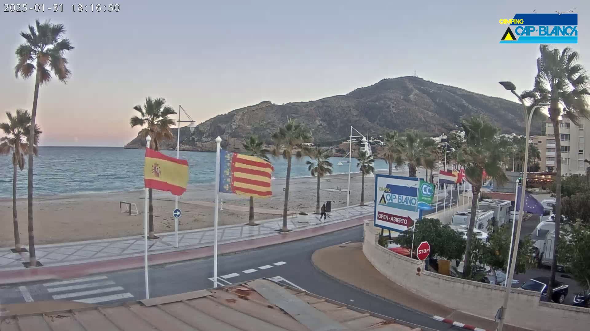 A sandy beach with palm trees and Spanish flags lines a calm ocean under a dusky sky next to a road with parked vehicles and a mountain in the background.