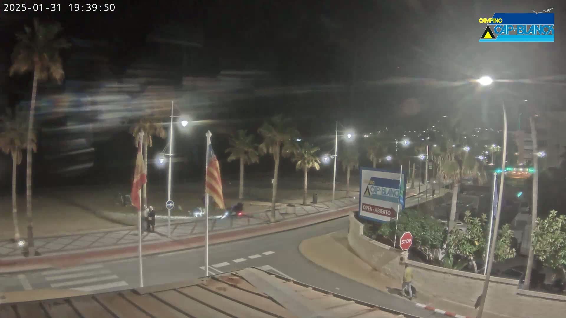 A nighttime, slightly blurry view of a palm-tree lined street curving alongside a beach, with a few pedestrians and streetlights visible under a clear sky.