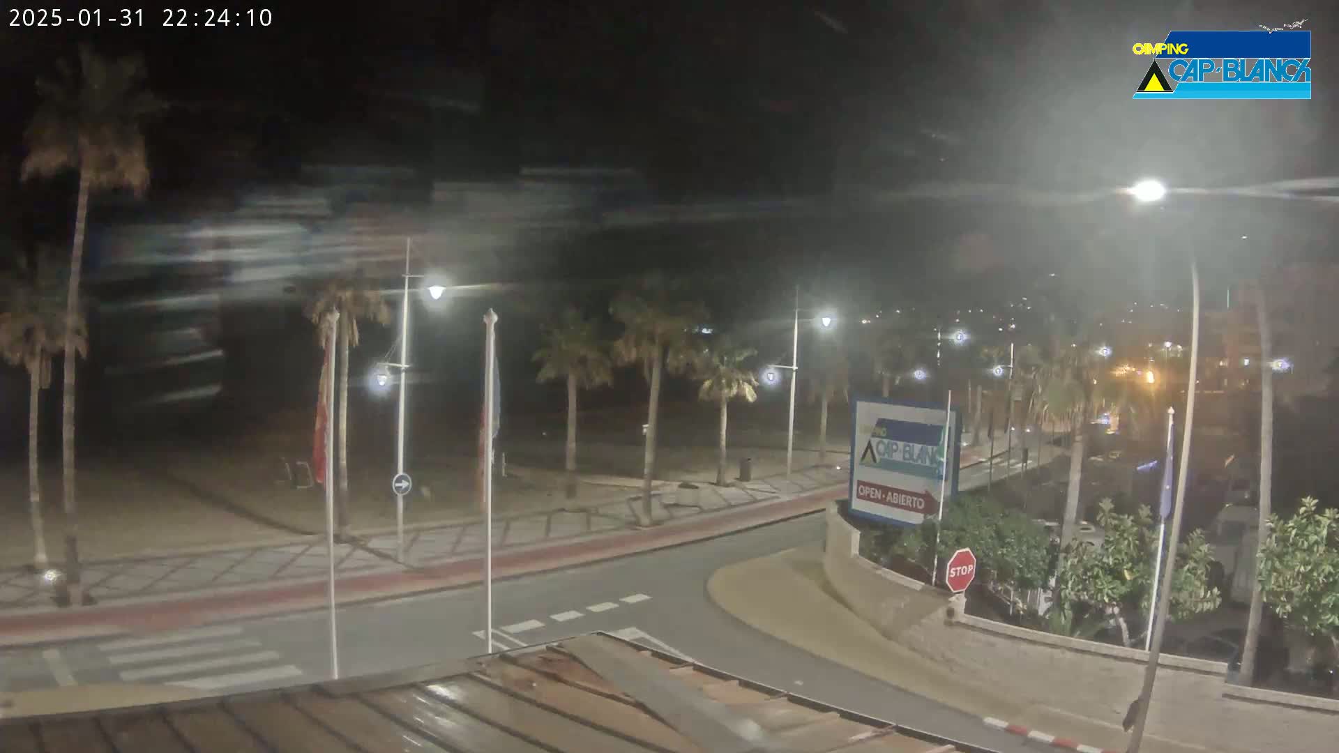A nighttime, windy scene shows a palm-tree lined street curving toward a beach, with hazy or foggy conditions.