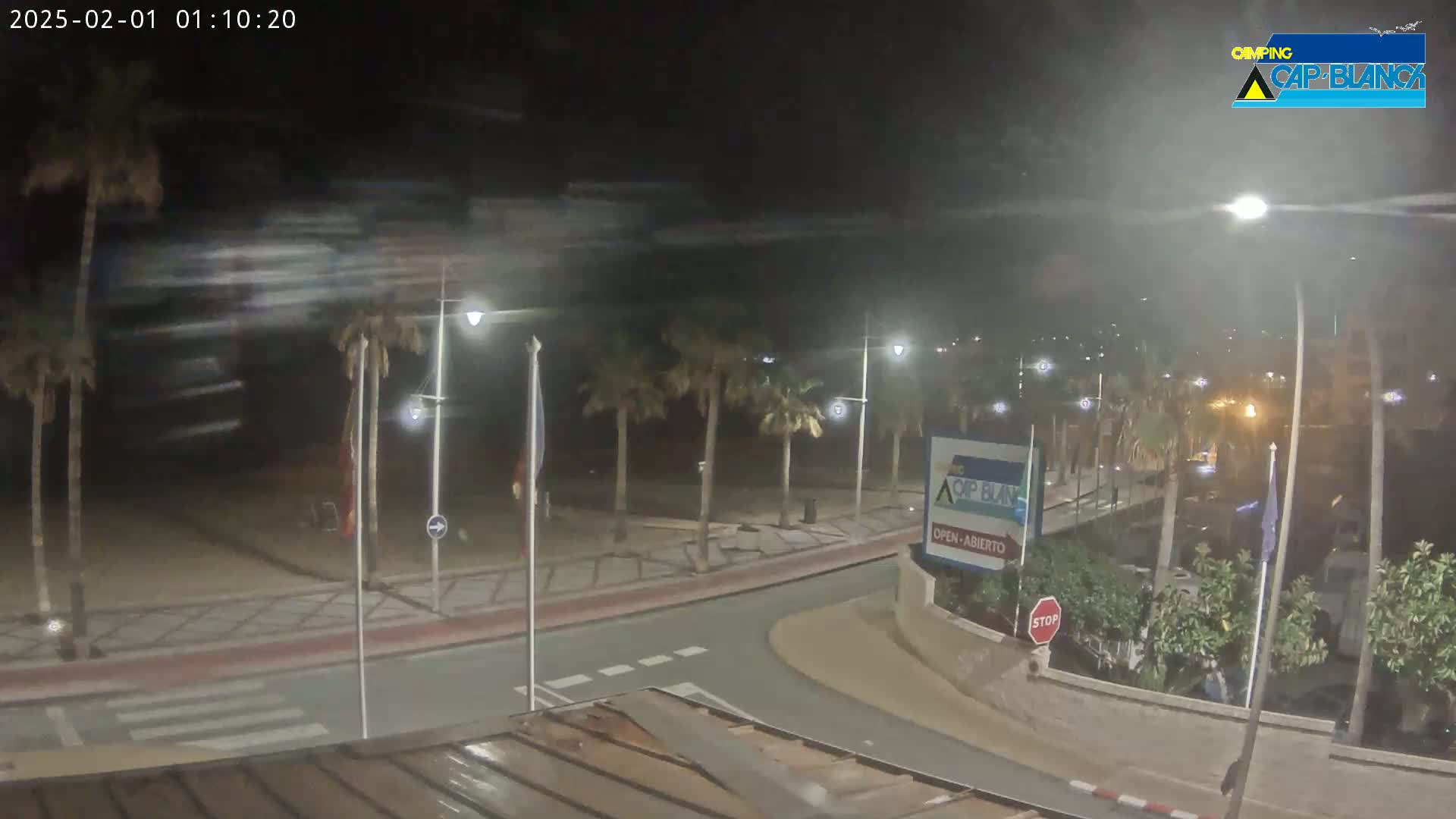 A nighttime view of a palm tree-lined beachfront road with blurry motion in the sky, suggesting windy conditions.