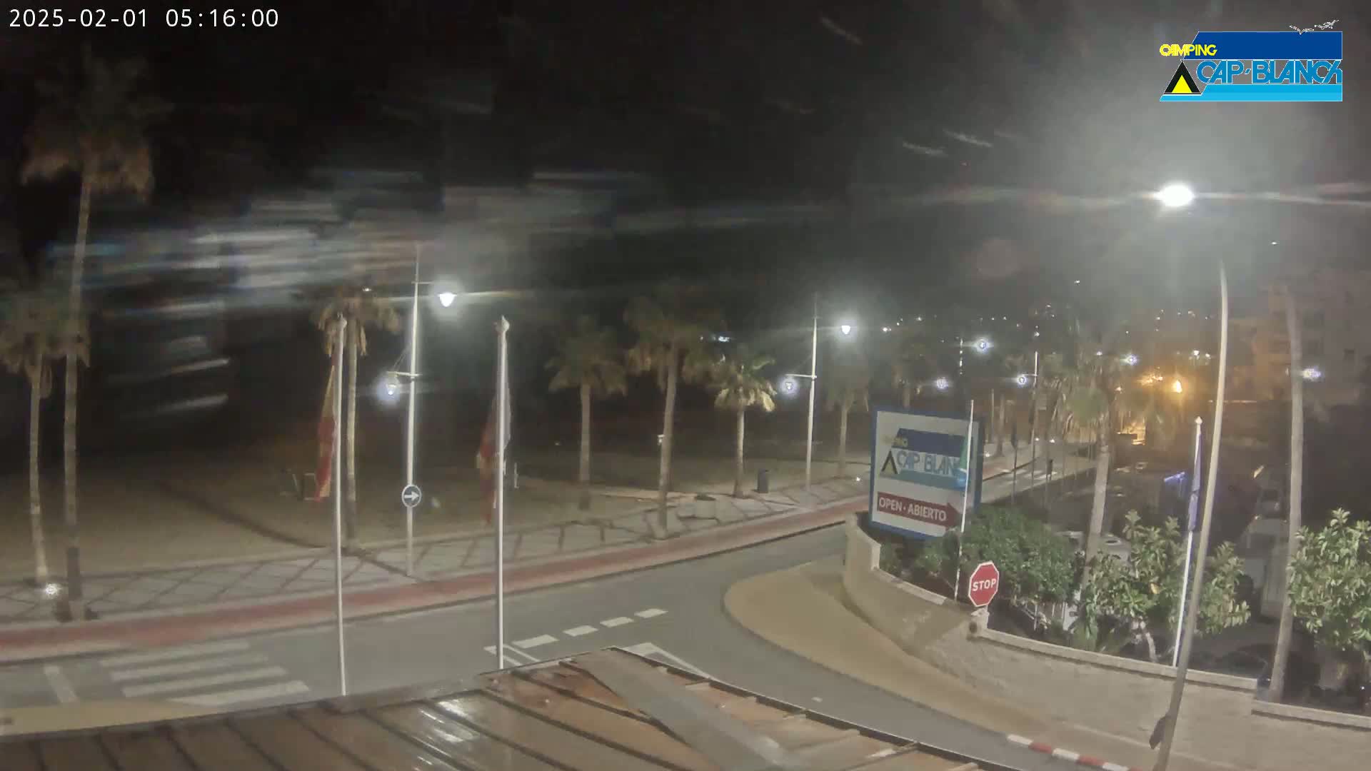 A nighttime, windy scene shows a palm-tree-lined road curving toward a beach, with streetlights illuminating the area.