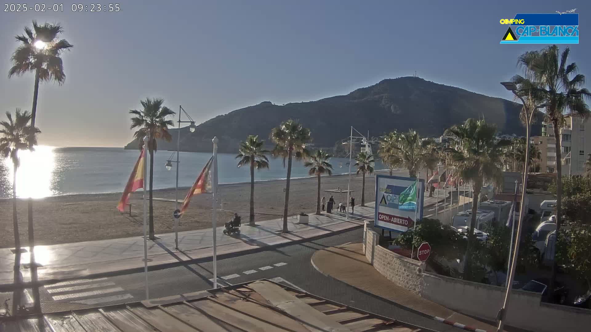 A sunny beach scene with palm trees lining a paved walkway, overlooking a calm sea and a mountain in the background.