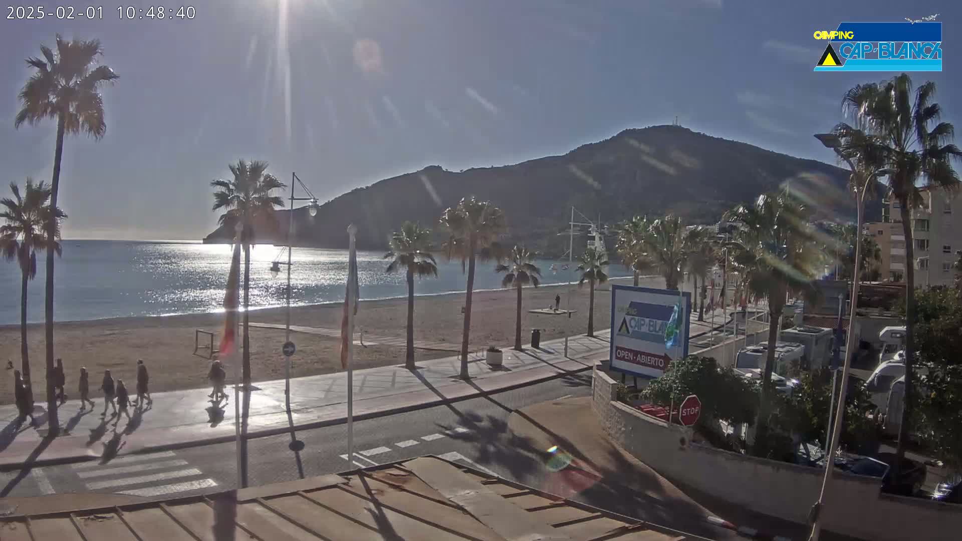 A sunny day at a beach with palm trees lining a promenade next to a calm sea and a mountain in the background.