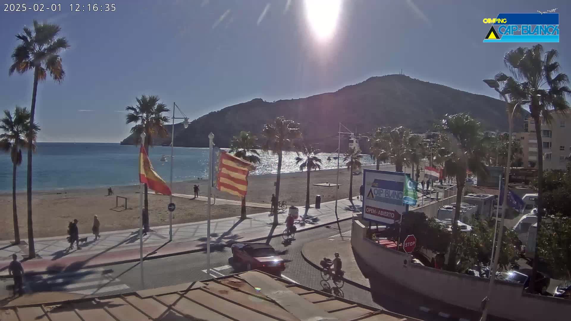 A sunny beach scene shows palm trees lining a paved walkway beside a sandy beach and calm ocean with a mountain in the background.