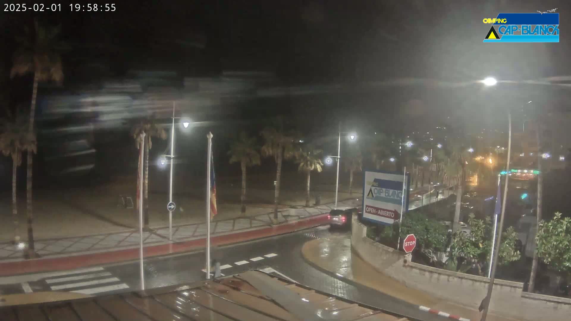 A rain-slicked street curves past palm trees and a beachfront area at night, with a car visible in the distance.