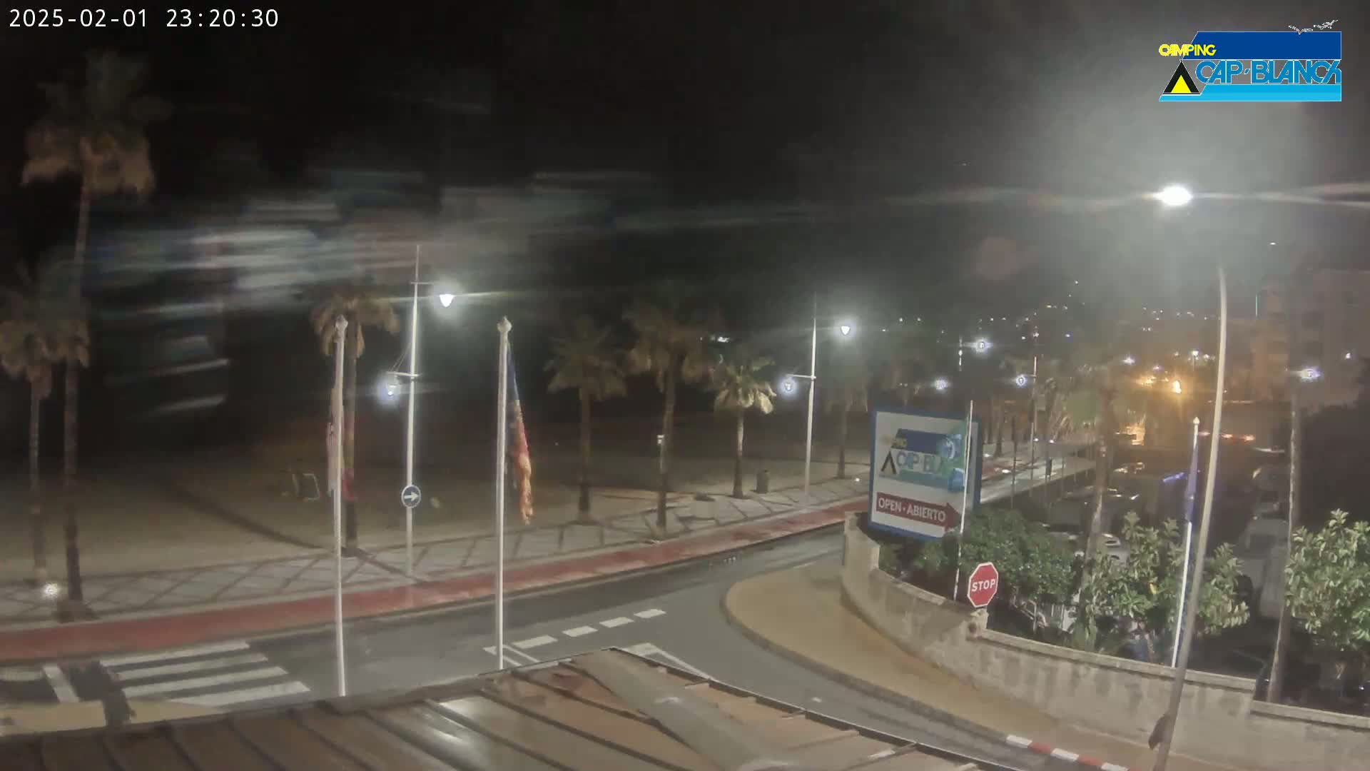 A nighttime view of a palm tree-lined beachfront promenade with streetlights illuminating a mostly empty road and a beach in the background, under windy conditions.