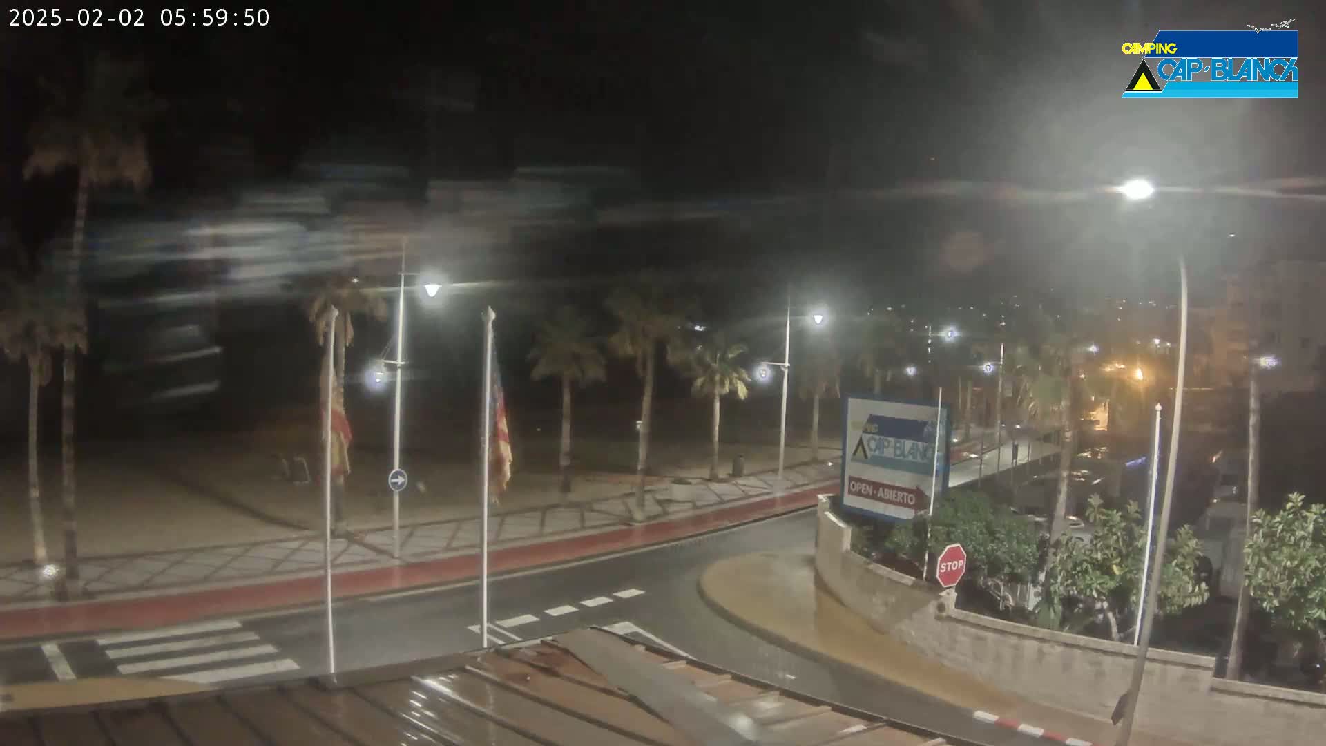 A rain-slicked nighttime street scene shows palm trees lining a curved road next to a beach, with some blurry motion in the background.