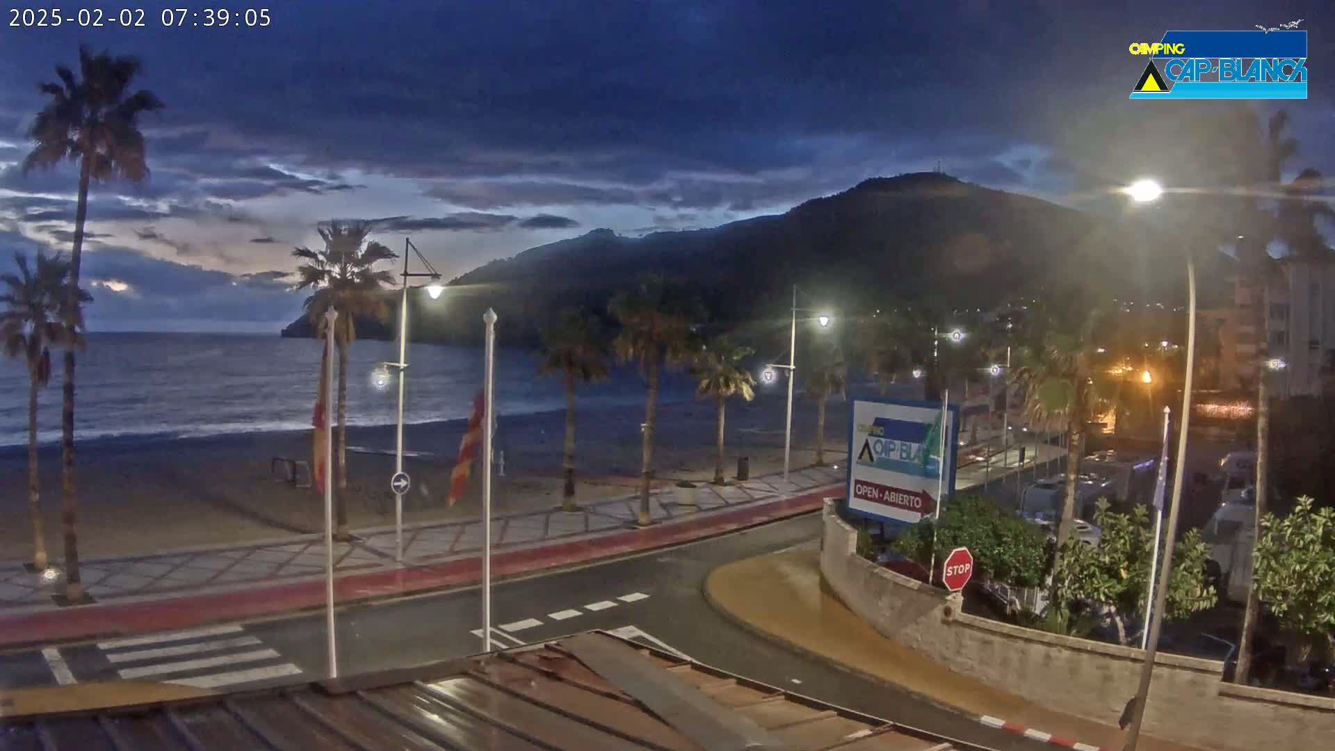 A nighttime view of a beach with palm trees, streetlights, and a dark mountain in the background under a mostly cloudy sky.