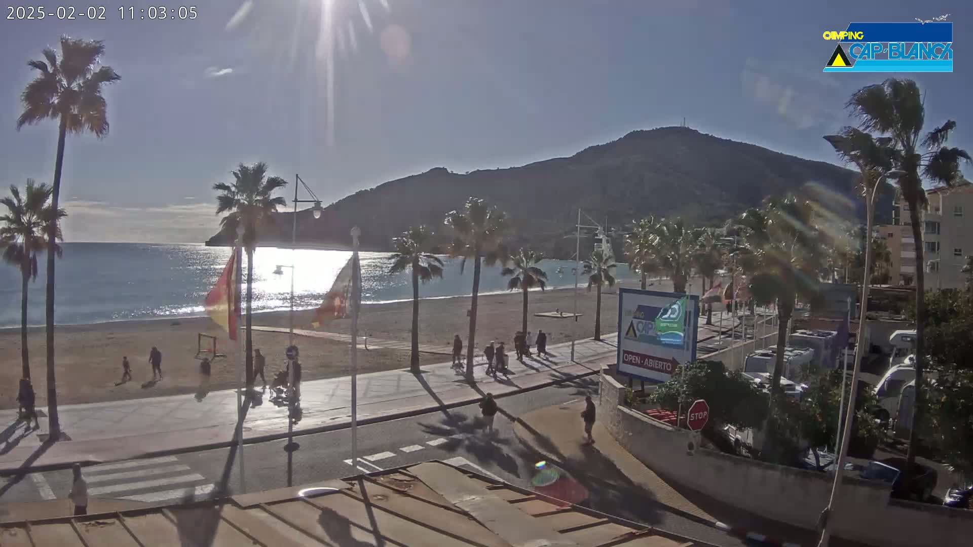 A sunny day at a beach with palm trees, a sandy shore, calm water, and a mountain in the background, with people walking along a promenade.