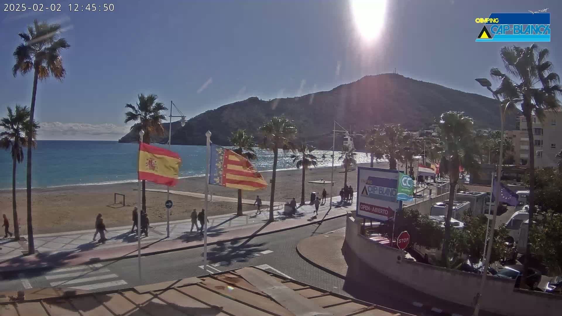 A sunny beach scene with palm trees, a promenade with pedestrians, and a mountain in the background.