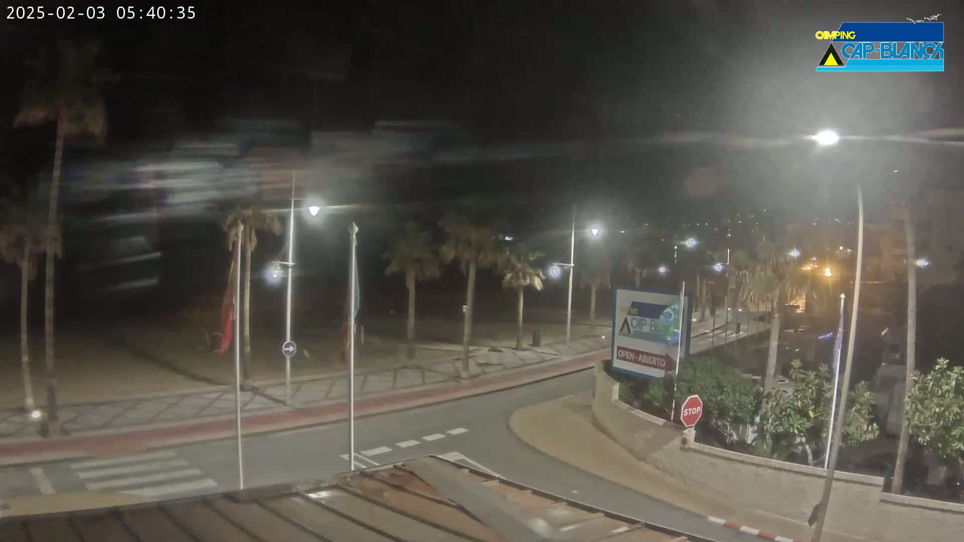 A nighttime, windy scene shows a palm-tree-lined street curving toward a beach, with streetlights illuminating the area.