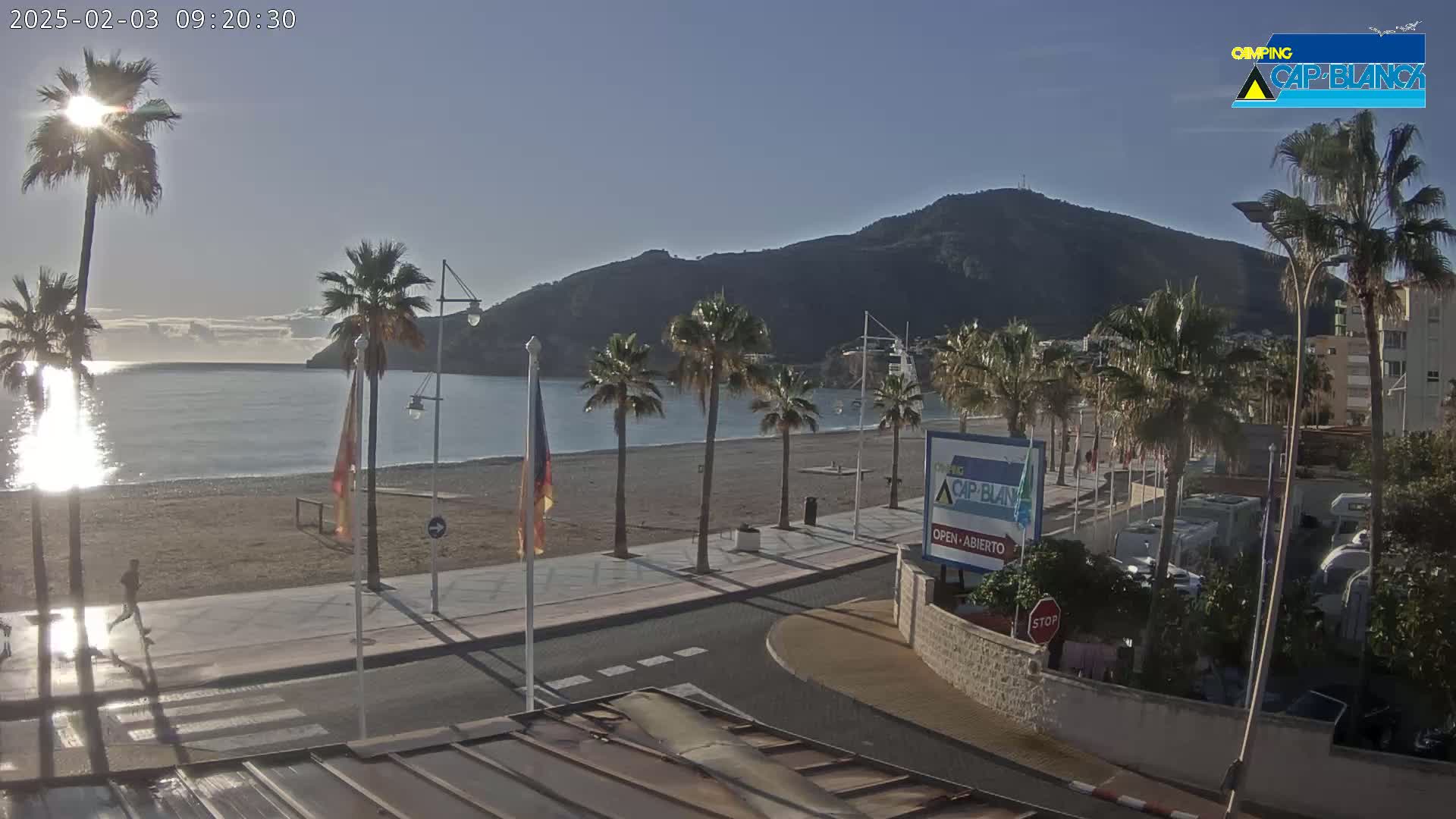 A sunny morning view of a beach with palm trees, a calm sea, and a mountain in the background.