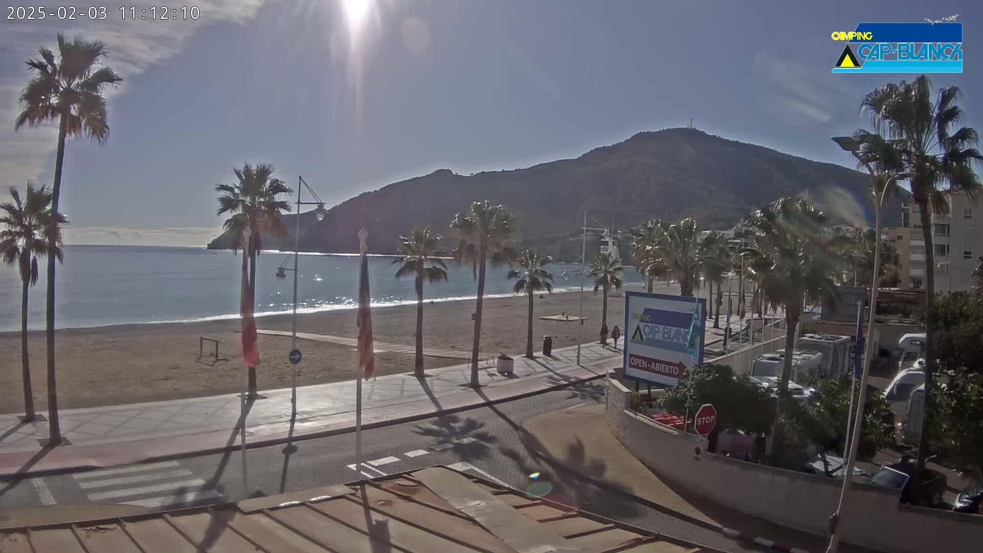 A sunny beach scene with palm trees lining a promenade next to a calm ocean, with a mountain in the background.