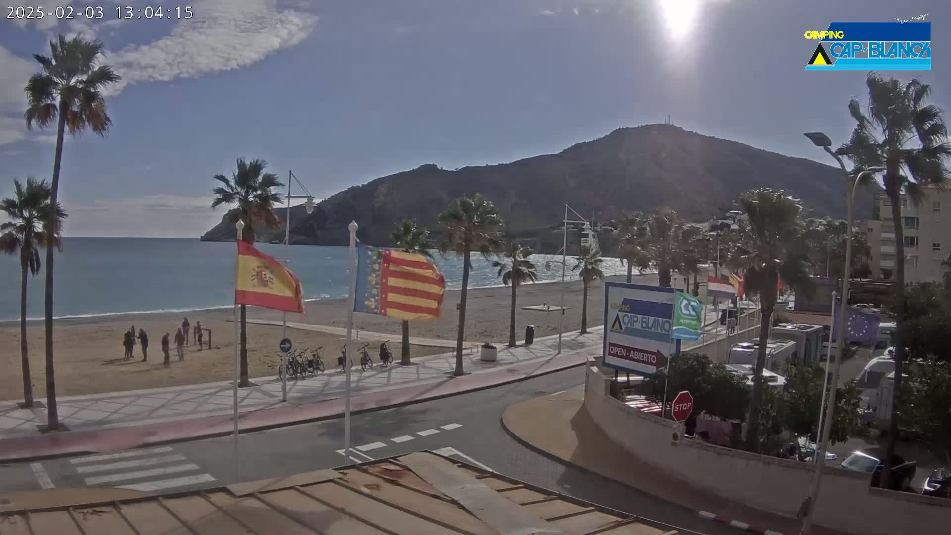 A sandy beach with palm trees and several people is next to a paved road with parked cars and RVs under a mostly sunny sky.