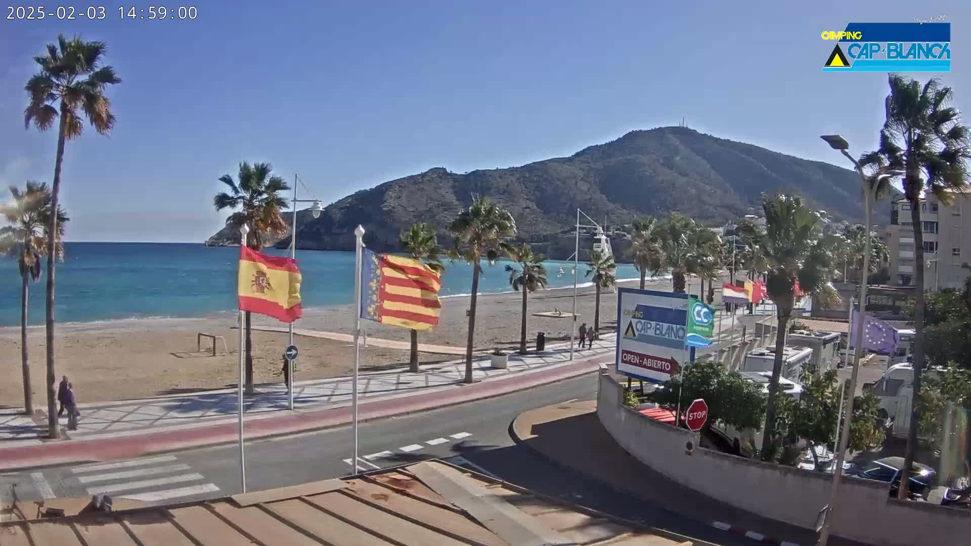A sandy beach with palm trees and calm turquoise water is situated below a large mountain under a clear blue sky.