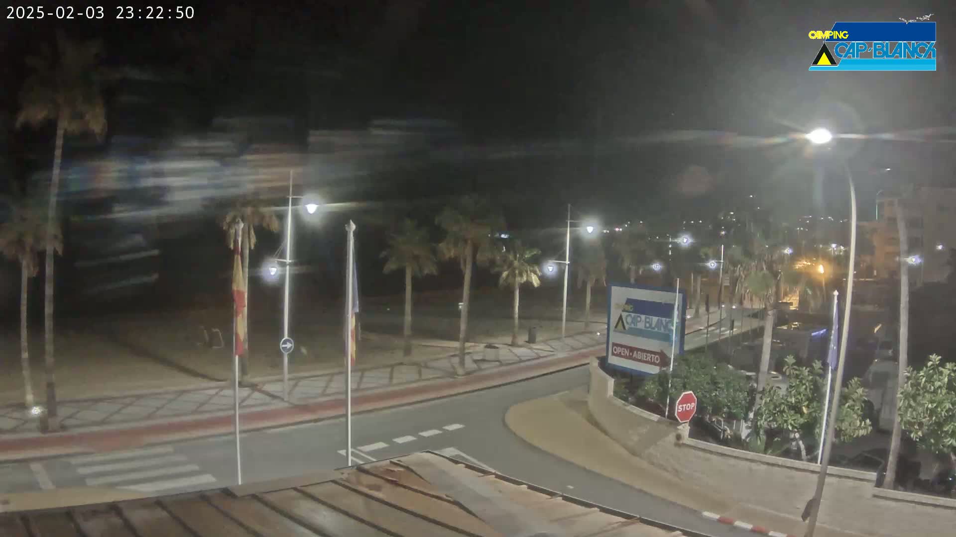 A nighttime, slightly blurry view of a palm tree-lined roadway curving toward a beach under a clear, dark sky.